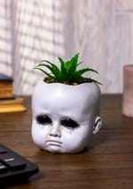 Distressed Doll Succulent