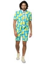 Mens Summer Shineapple Opposuit