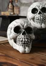 Large Skull 12-pack (CY21082) Alt 1