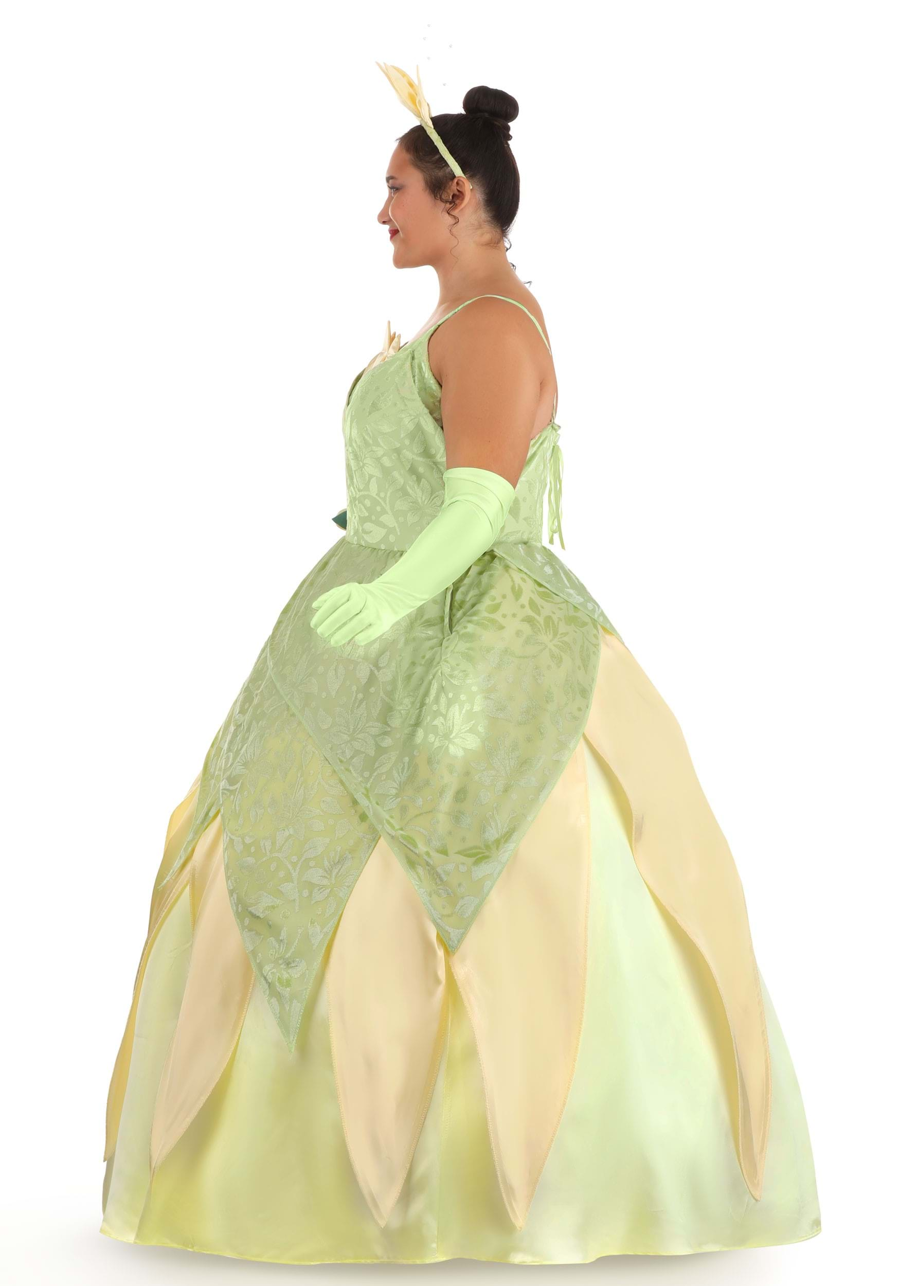 https://images.halloween.com/products/74432/2-1-256141/plus-size-deluxe-tiana-costume-alt-6.jpg