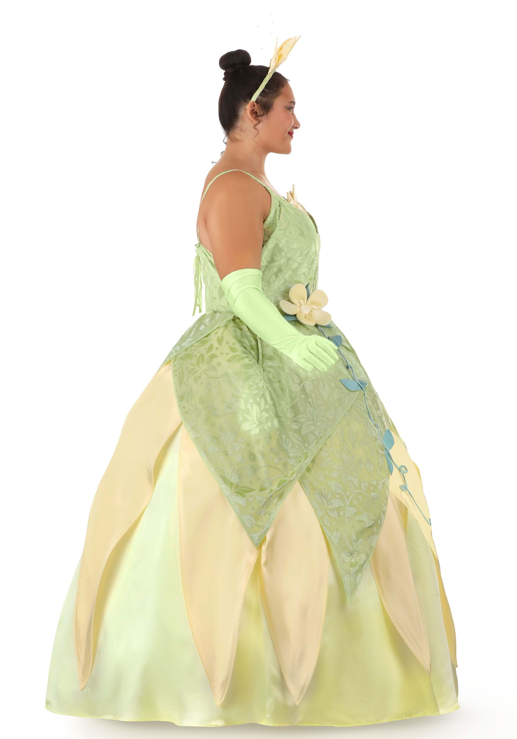 https://images.halloween.com/products/74432/2-1-256143/plus-size-deluxe-tiana-costume-alt-8.jpg