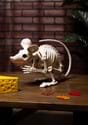 19 Attack Rat Skeleton