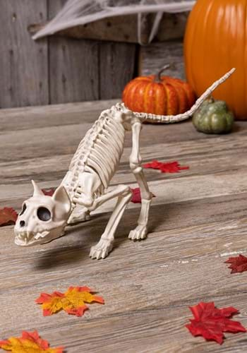 11" Lil' Kitty Skeleton