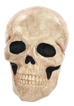 18.5" Giant Skull Alt 2