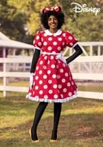 Adult Deluxe Minnie Mouse Costume