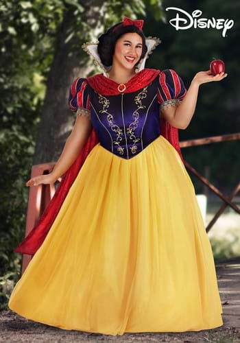 Plus Size Premium Snow White Costume