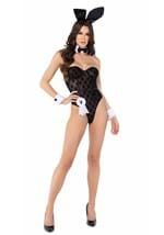 Womens Sheer Playboy Bunny Costume