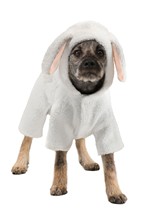 Sheep Dog Costume Alt 2