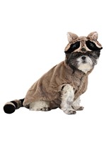Raccoon Dog Costume Alt 2