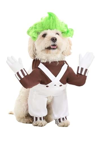 Oompa Loompa Dog Costume