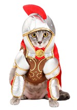 Gladiator Dog Costume Alt 2