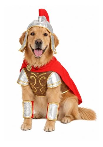 Gladiator Pet Costume New Main