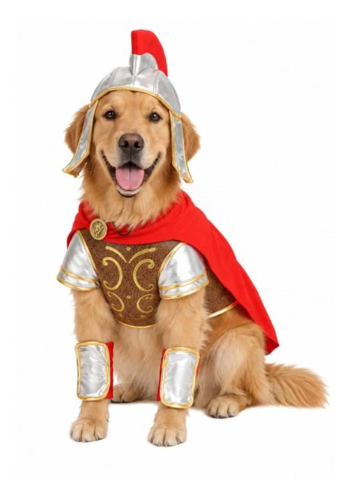 Gladiator Pet Costume New Main
