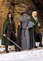 Adult Gandalf Lord of the Rings Costume Alt 2