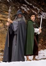 Adult Gandalf Lord of the Rings Costume Alt 3