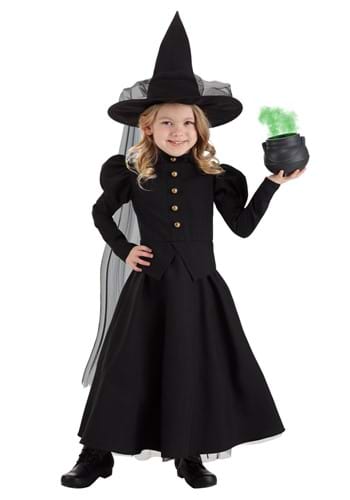 Girls Toddler Deluxe Witch Costume