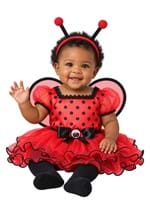 Infant Little Ladybug Costume upd