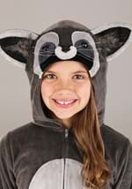 Kid's Tutu Raccoon Costume Alt 3