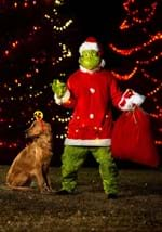 The Grinch Santa Adult Plus Size Deluxe Costume Alt 1