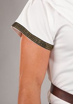 Adult Deluxe Greek Warrior Costume Alt 1