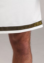 Adult Deluxe Greek Warrior Costume Alt 3