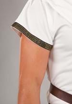 Deluxe Greek Warrior Mens Costume Alt 2