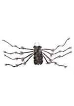 Large spider hairy grey Alt 1