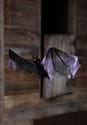 Hanging bat