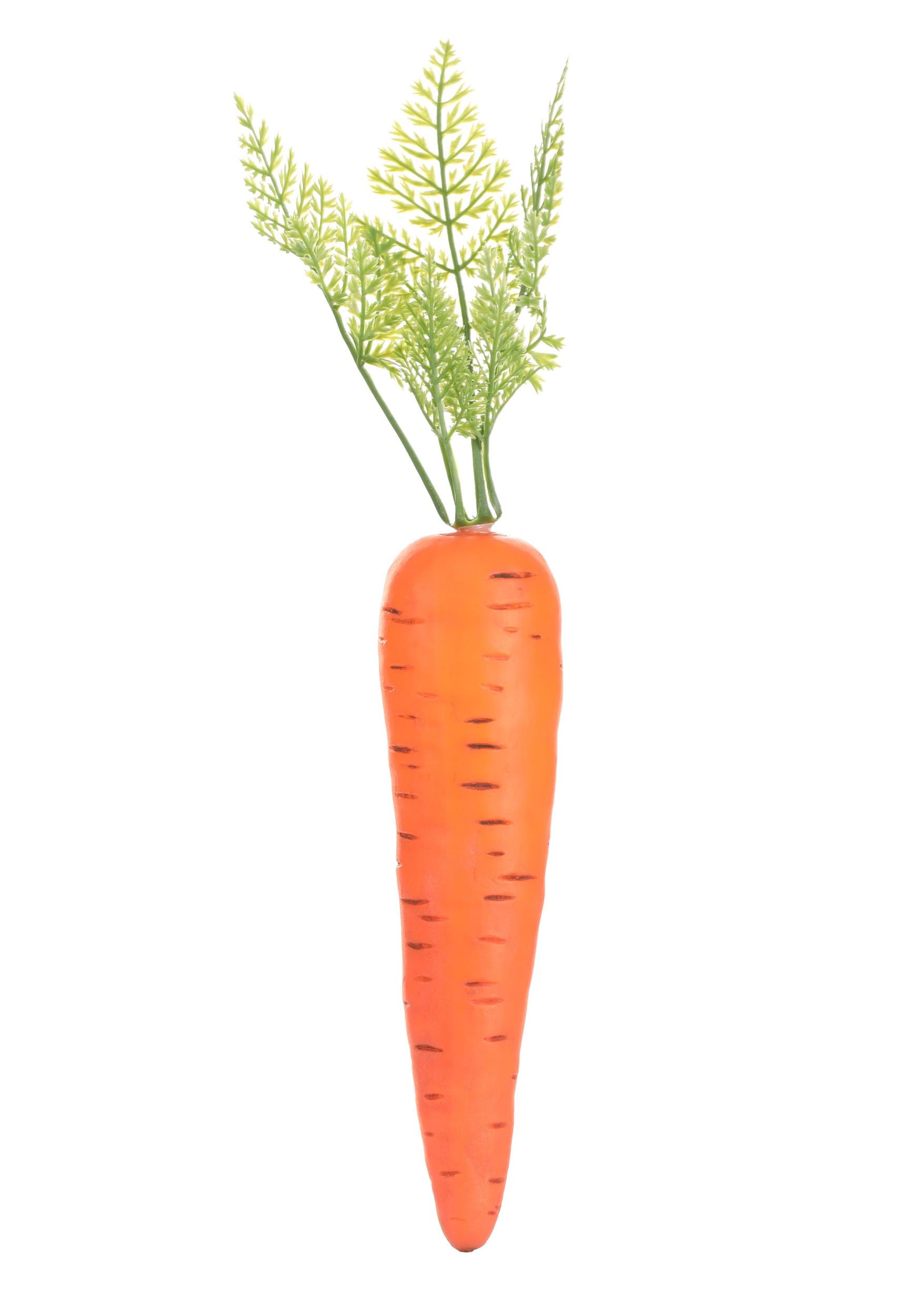 Carrot root with leaves isolated vegetable sketch. Vector vegetarian food,  whole veggie Stock Vector Image & Art - Alamy