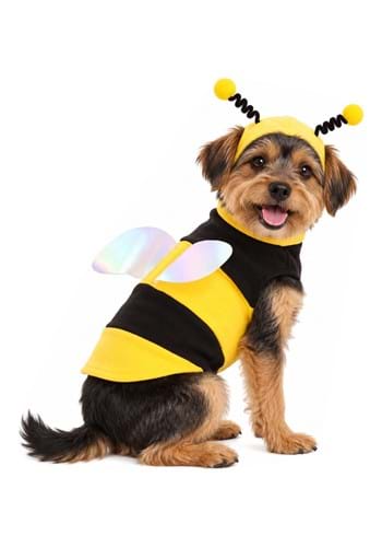 Lil Bumble Bee Dog Costume New Main