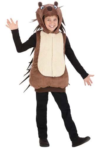 Child Porcupine Costume