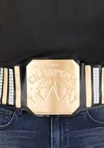 Generic Wrestling Championship Belt Alt 1