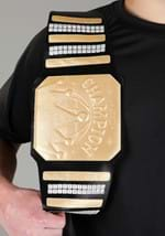 Generic Wrestling Championship Belt Alt 2