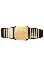 Generic Wrestling Championship Belt Alt 3