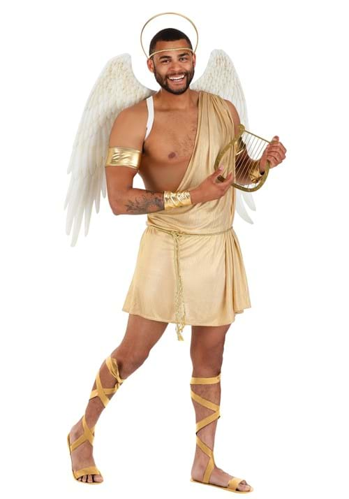 Plus Size Sexy Angel Mens Costume