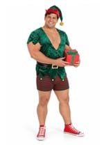 Plus Size Sexy Christmas Elf Costume for Men New Main