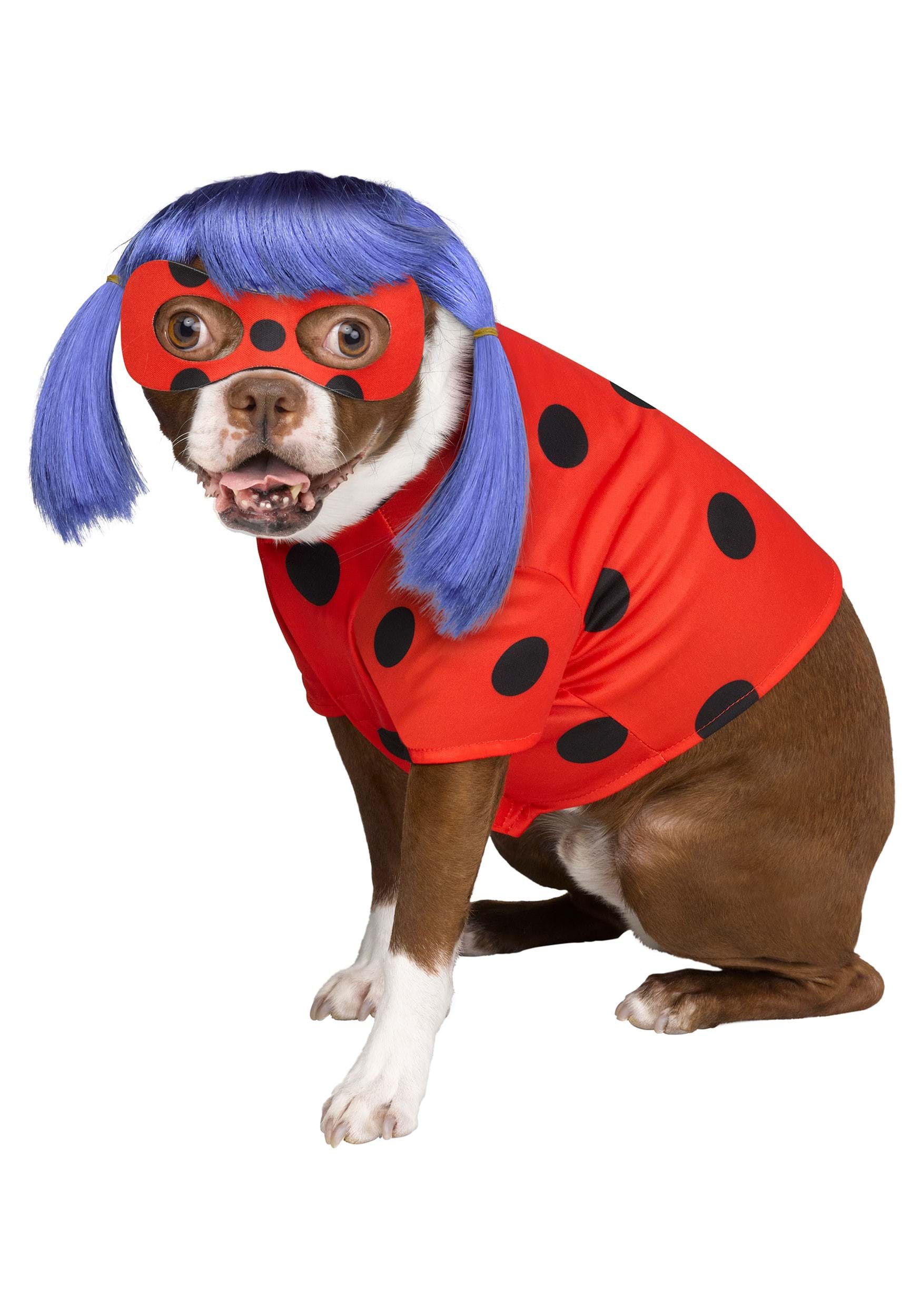 Miraculous Ladybug Pet Costume, Women's, Size: Small