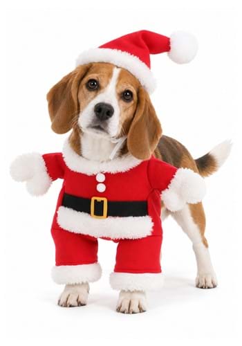 Classic Pet Santa Costume upd