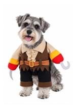 Pirate Pet Costume upd