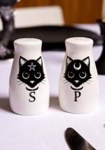 Black Cats Salt and Pepper Shaker Set