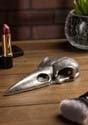 Silver Raven Skull Hand Mirror