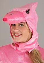 Adult Pink Pterodactyl Costume Alt 2