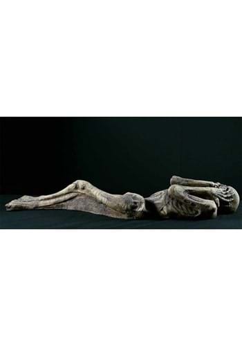 Ancient Mummy Prop