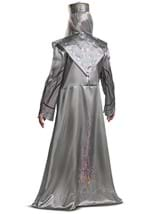 Harry Potter Dumbledore Deluxe Adult Costume Alt 1