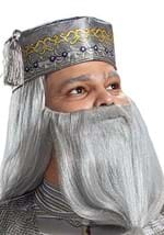 Harry Potter Dumbledore Deluxe Adult Costume Alt 3