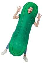 Adult Inflatable Pickle Costume