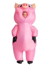 Adult Inflatable Piggy Costume Alt 5