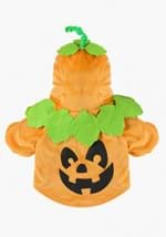 Pumpkin Pet Costume Alt 4