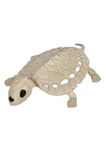 8" Skeleton Turtle Alt 1
