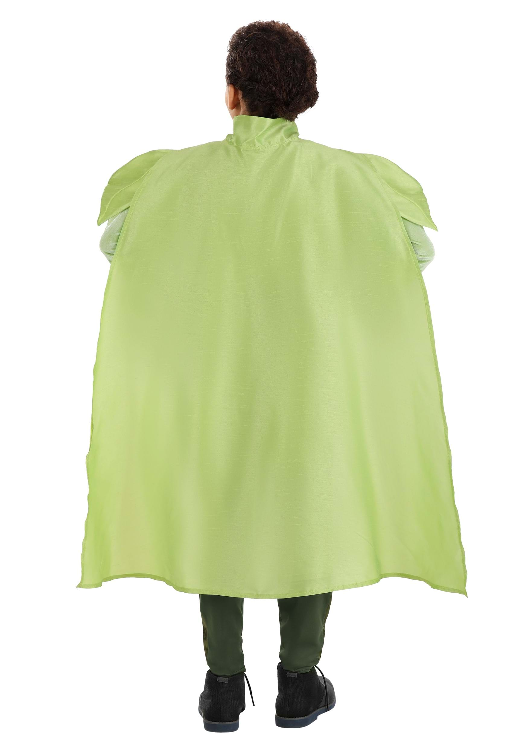 https://images.halloween.com/products/84781/2-1-299412/kids-disney-prince-naveen-costume-alt-1.jpg